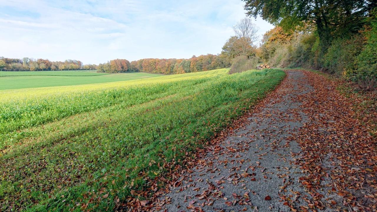 Haus Im Grunen Villa Billerbeck Esterno foto