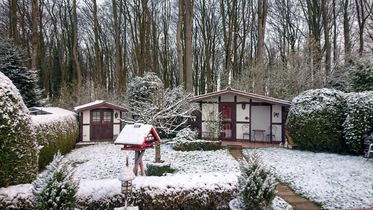 Haus Im Grunen Villa Billerbeck Esterno foto